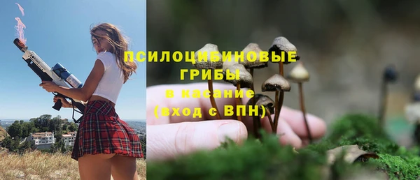 молекула духа Мегион