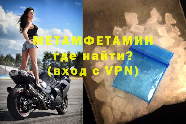 прущие грибы Медногорск
