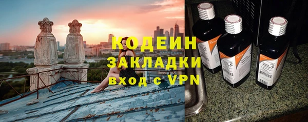 прущие грибы Медногорск