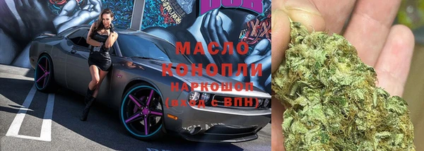 прущие грибы Медногорск