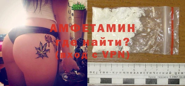 прущие грибы Медногорск